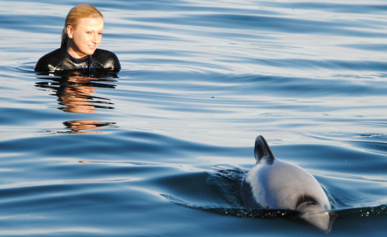 new zealand swim with dolphins akaroa bcg