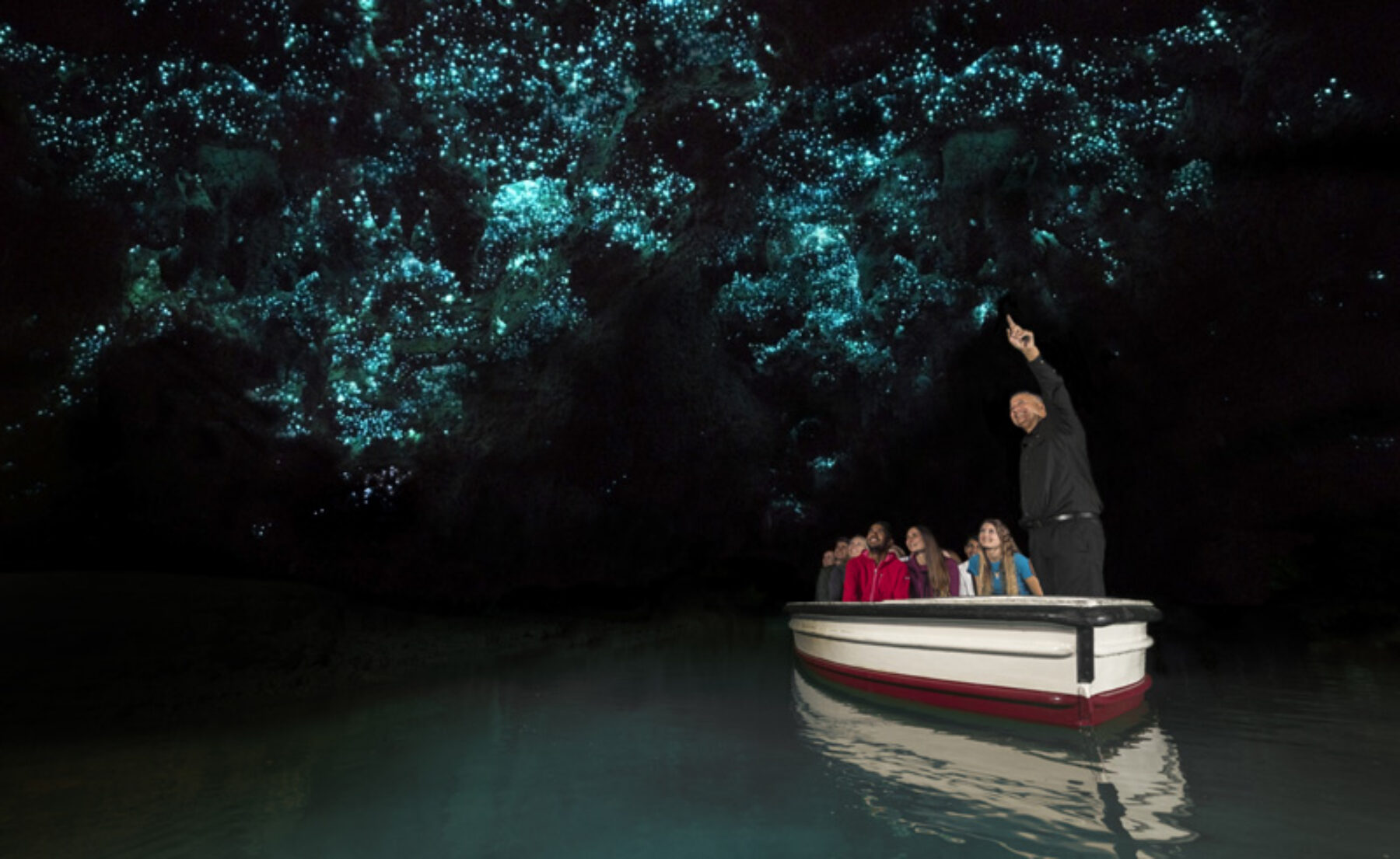 new zealand waitomo glow worm cave excursion
