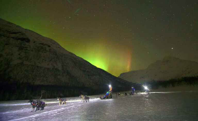 northern norway northern lights dog sledding