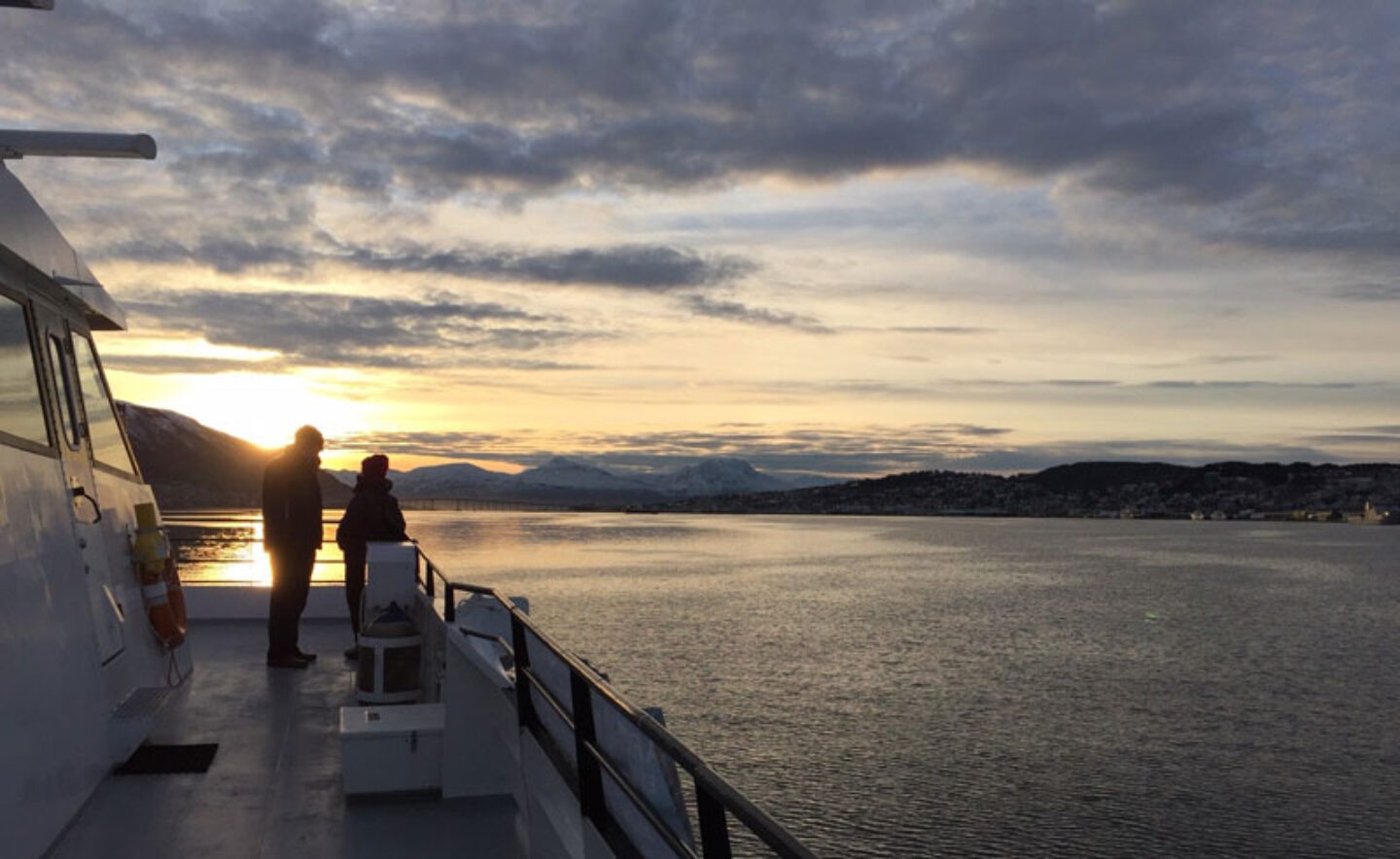 norway tromso whale watching tour sunset