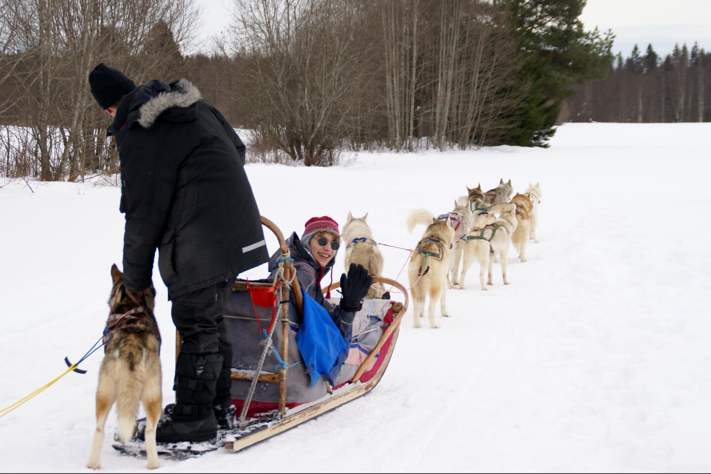 sweden varmland winter husky sledding wtrwld