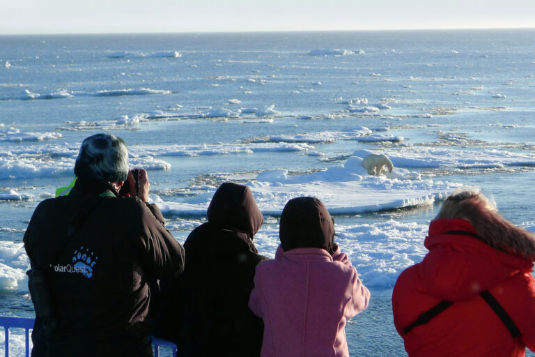 arctic spitsbergen watching polar bear from deck pq