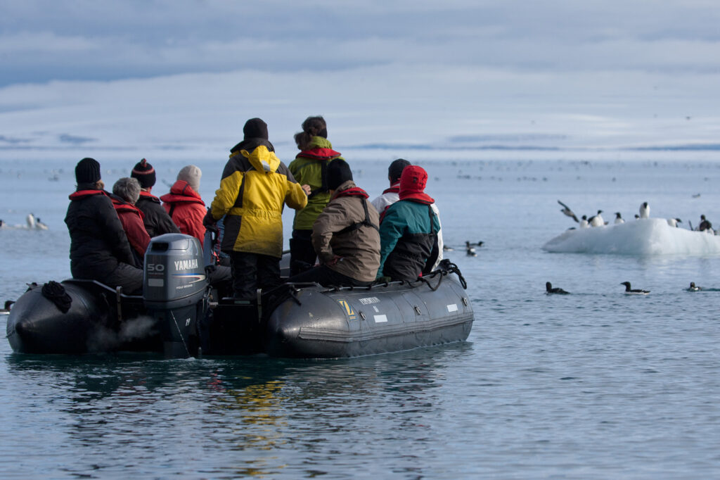 arctic spitsbergen zodiac trip with guillemots in alkefjeldet rth