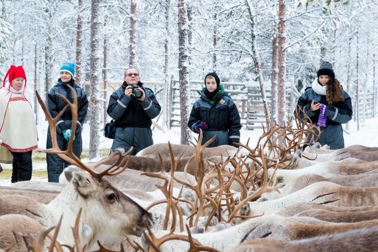 finnish lapland ranua reindeer farm visit rwp