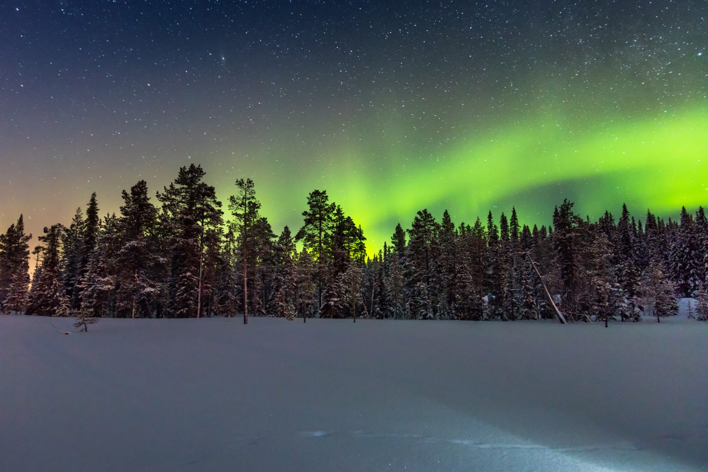 finnish lapland aurora over forest istk
