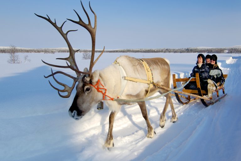 finnish lapland iso syote reindeer farm vf