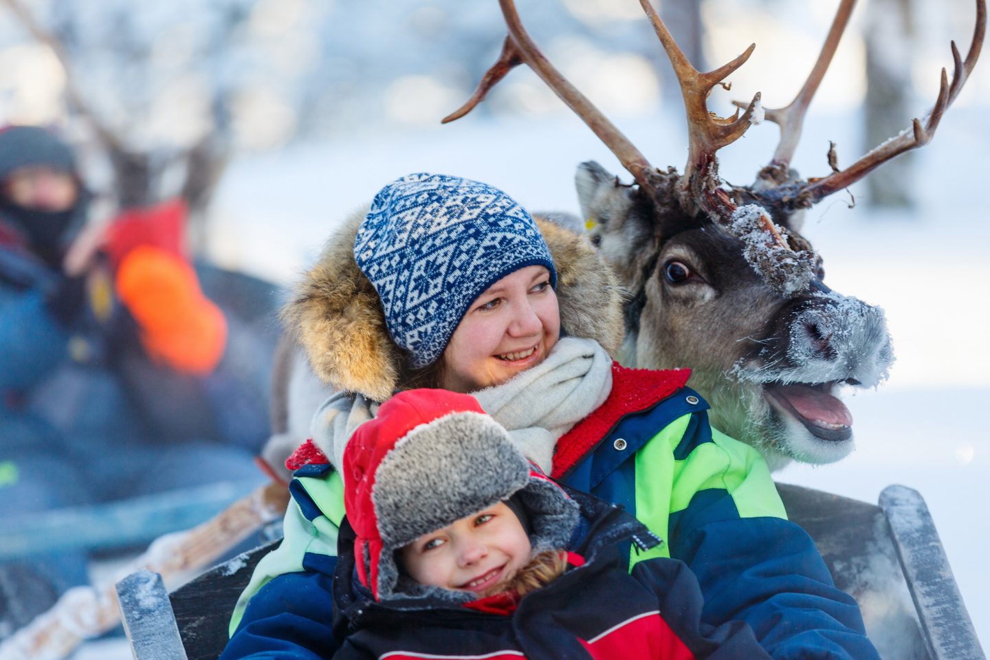 swedish lapland happy reindeer family safari ride adstk
