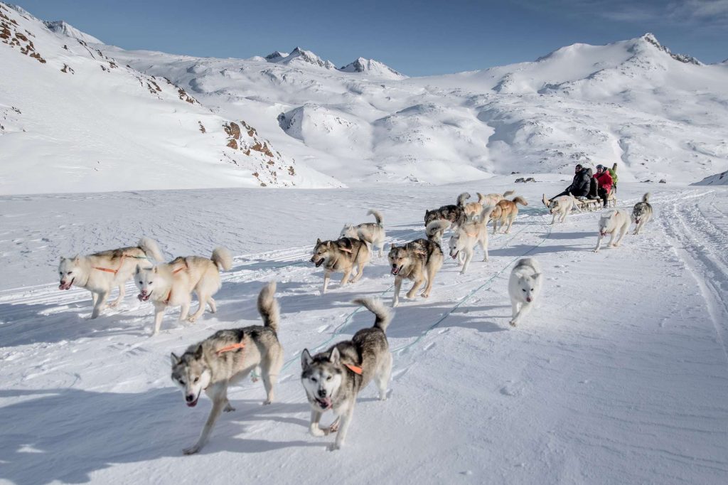 east greenland tasiilaq to sermilik huskies fanning out in front of sled vg mp