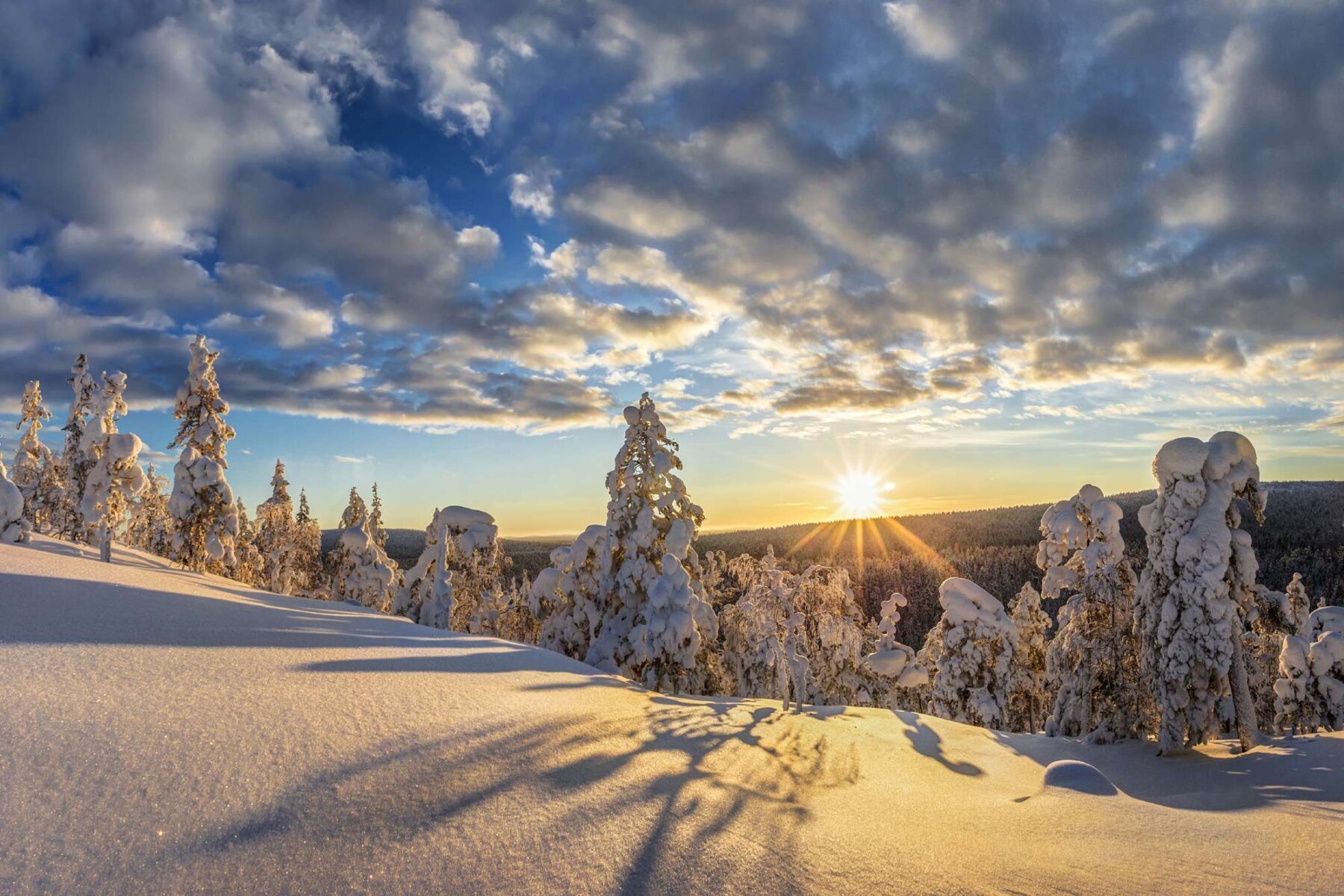finnish lapland pyha luosto national park sunlit snowscape istk