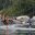 nimmo bay british columbia stand up paddle boarding seals jkoreski