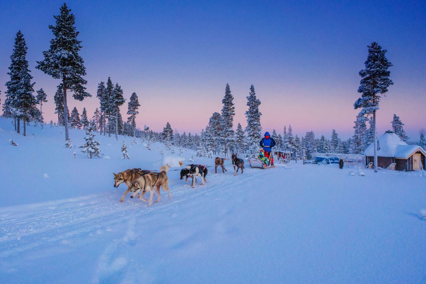 finnish lapland star arctic hotel husky sledding