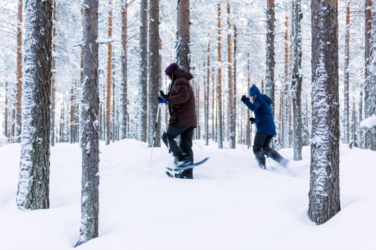 swedish lapland loggers lodge snowshoe walk