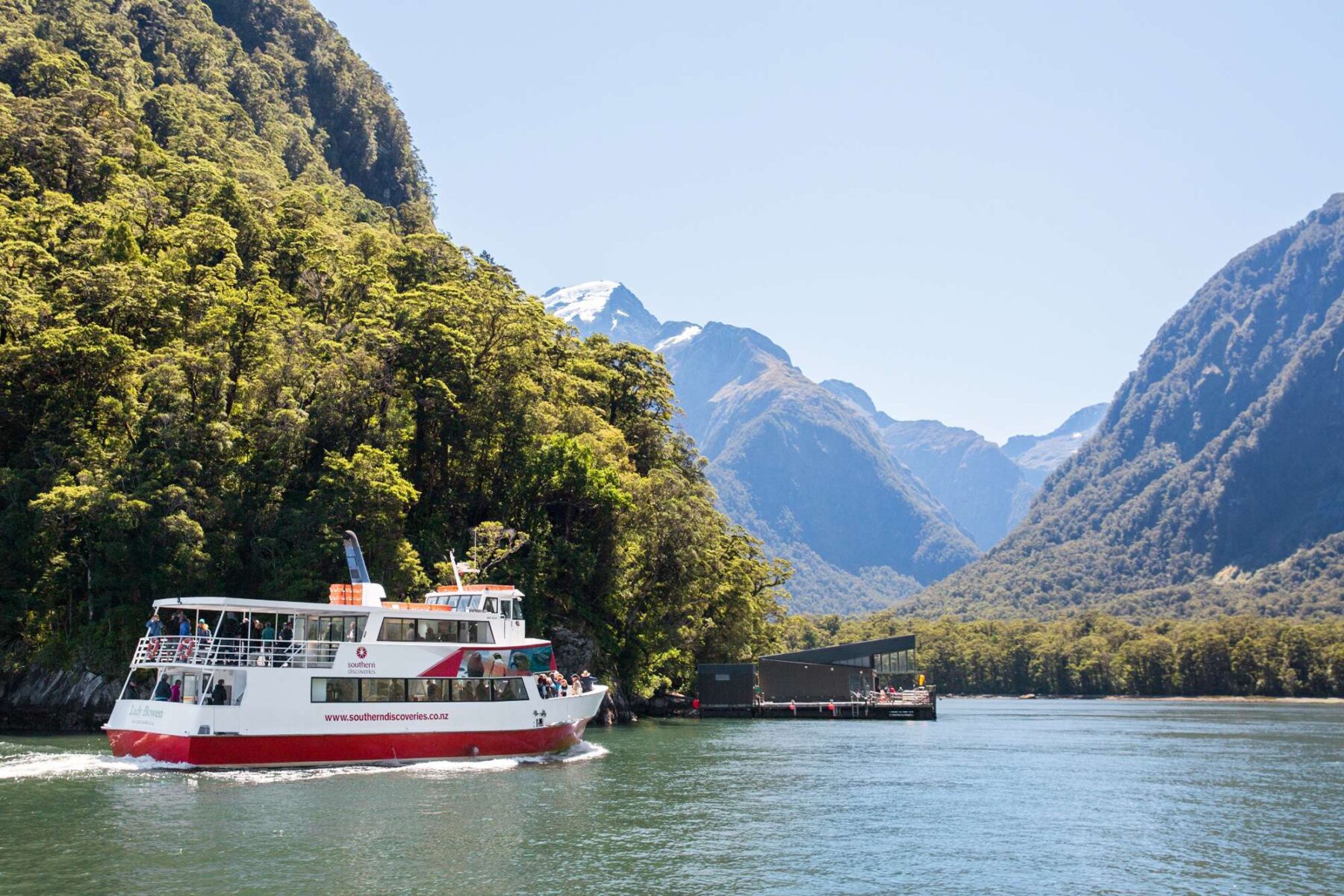 milford sound encounter nature cruise lady bowen view sthndisc