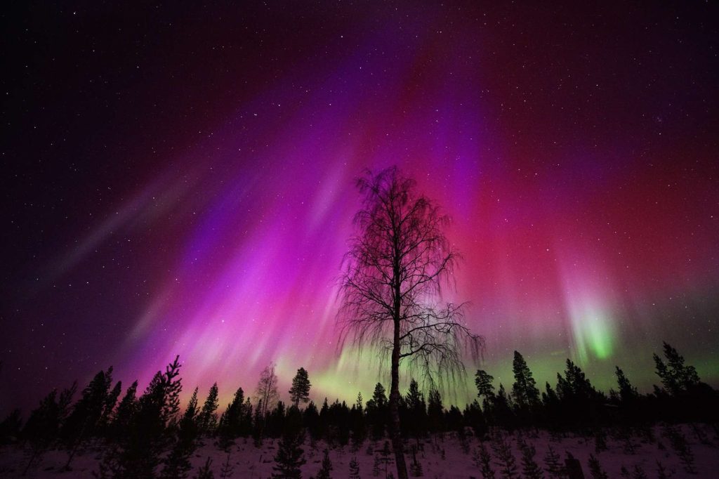 red aurora borealis seen over lapland istk