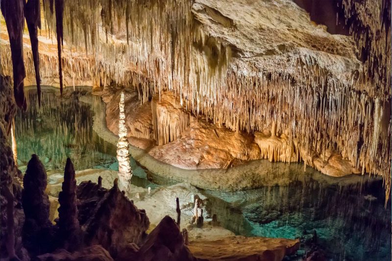 edu mallorca drach caves