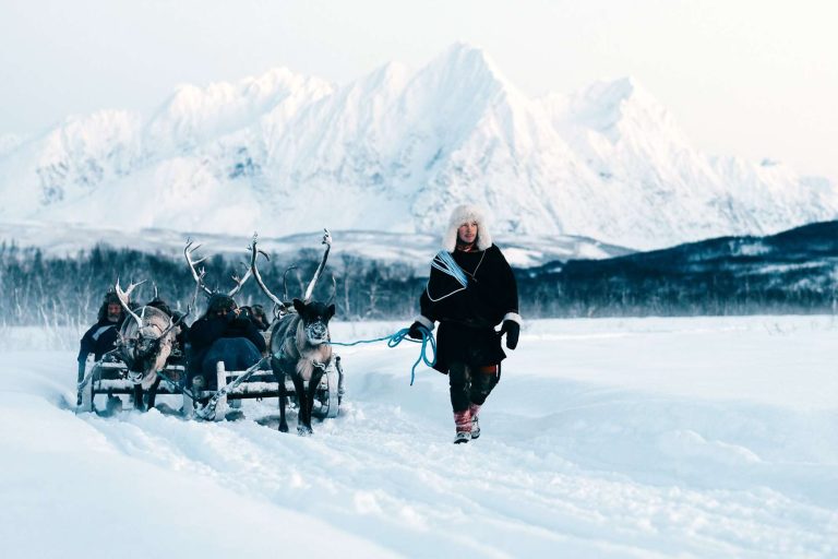 norway tromso sami leading reindeer safari trmsaf