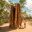 australia northern territory litchfield national park termite mound istk