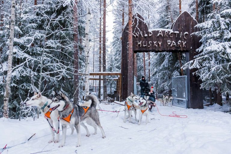 finnish lapland ranua husky sledding entrance