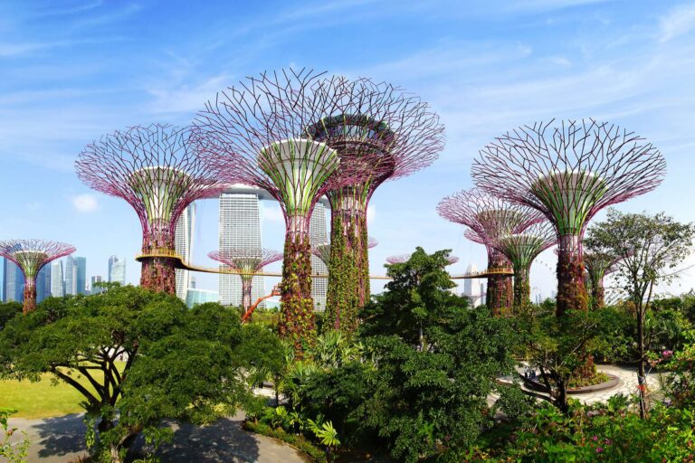 singapore supertree gardens by the bay daytime adstk