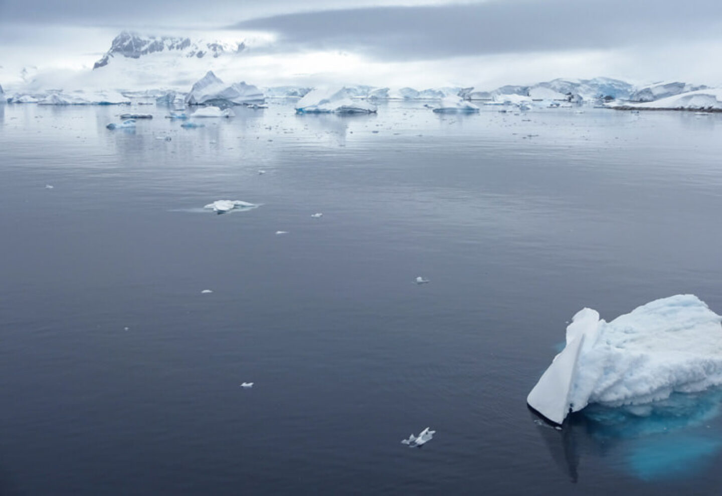 tranquil iceberg scenery in antarctica cp