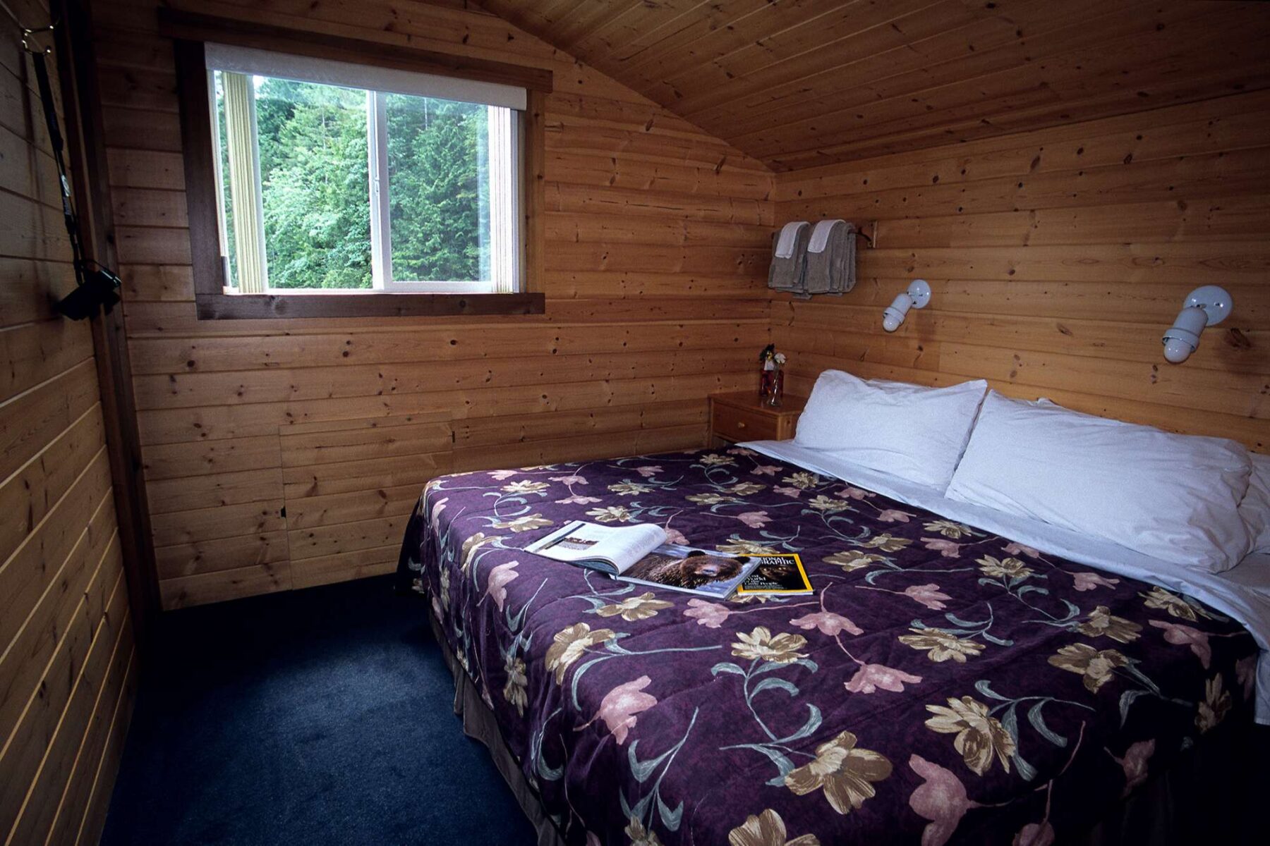 british columbia great bear lodge cabin interior