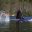 british columbia great bear lodge humpbacks
