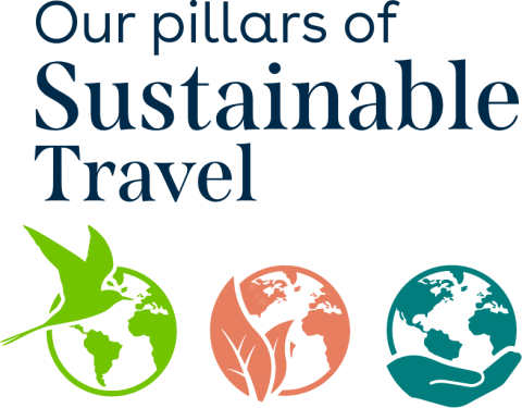 dtw pillars of sustainable travel logo