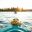 alaska kayaking on kenai fjords mckayla crump unsplash