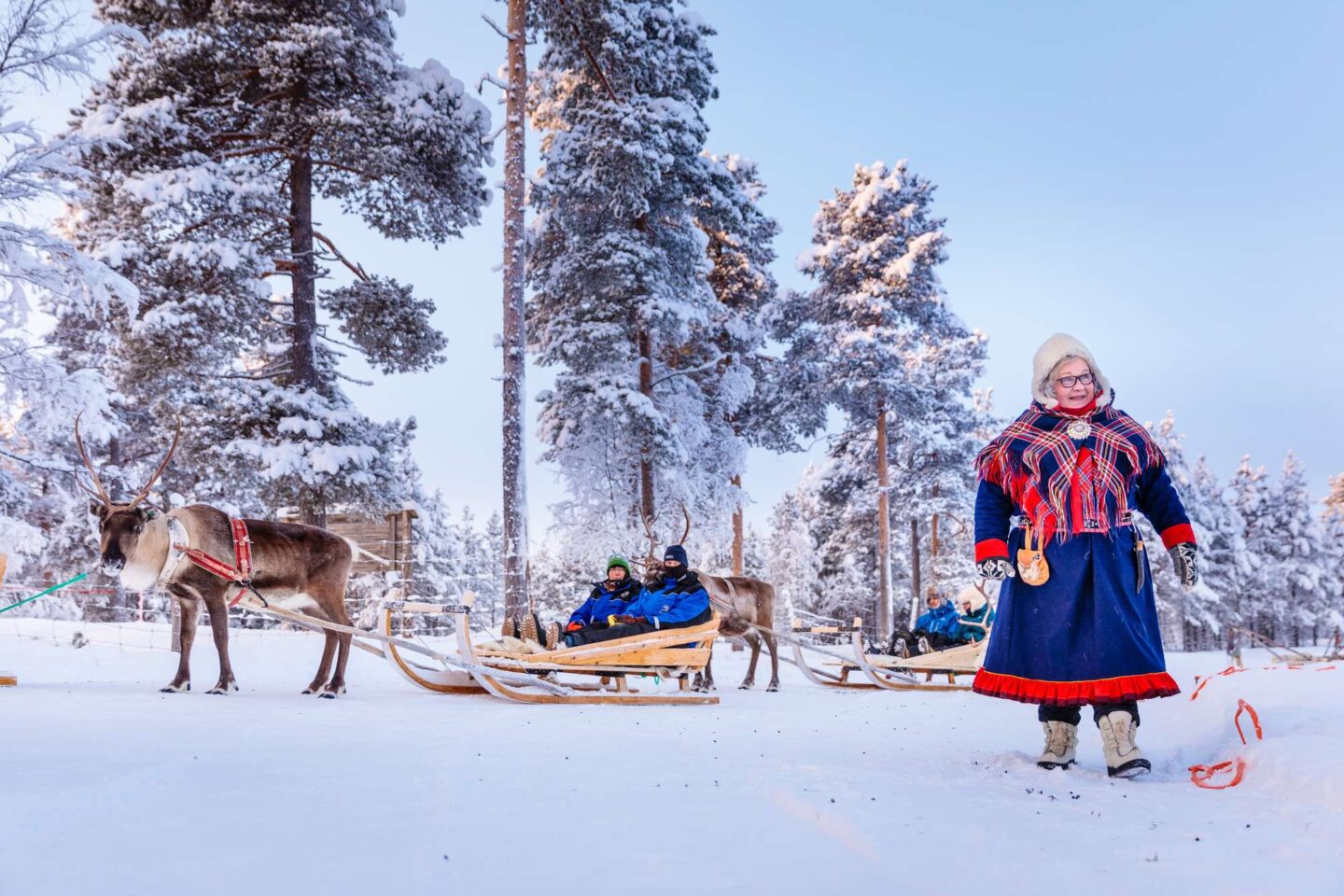 finnish lapland inari reindeer sledding with sami