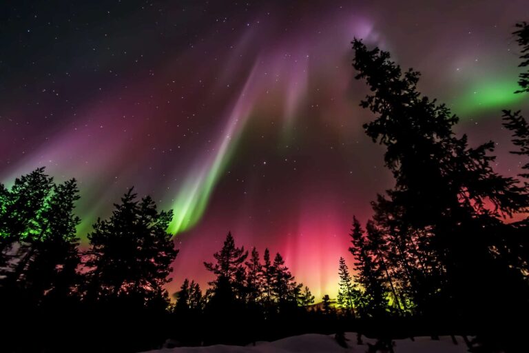 finnish lapland multi coloured aurora over forest arceur