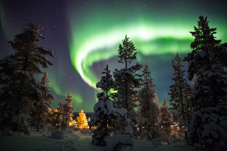 finnish lapland saariselka aurora over forest istk