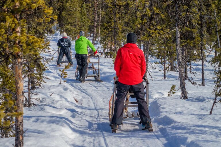 icehotel reindeer sledging forest trail sweden rth