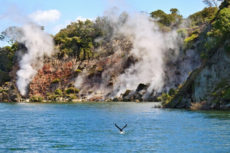 new zealand central plateau geysers at lake rotomahana istk