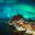 norway lofoten islands reine aurora over mountains istk