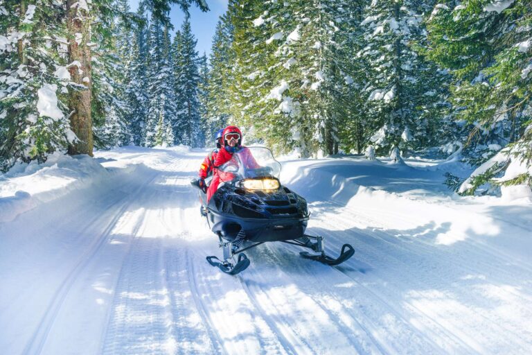 snowmobiling through forest istk
