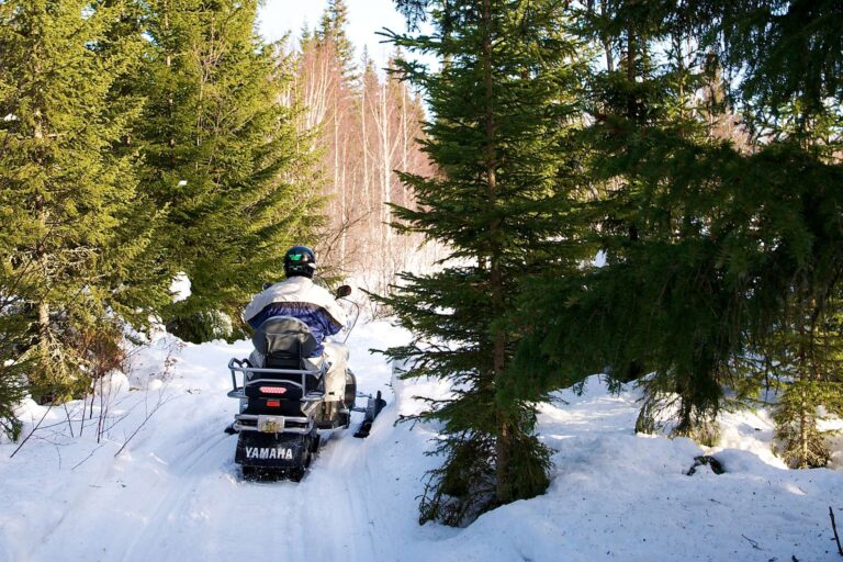 swedish lapland snowmobile safari lulea gr