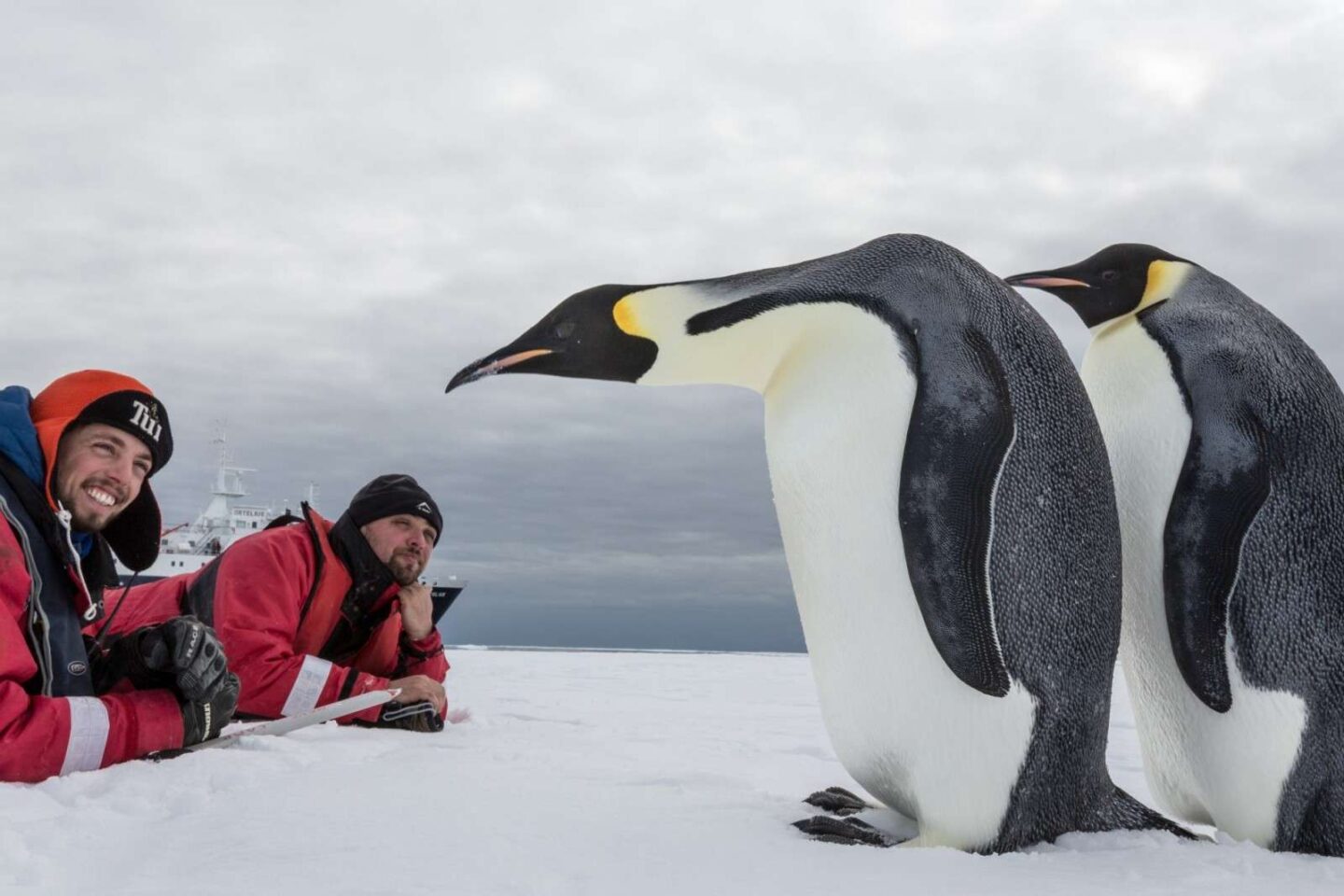 antarctica close encounter with emperor penguins oce