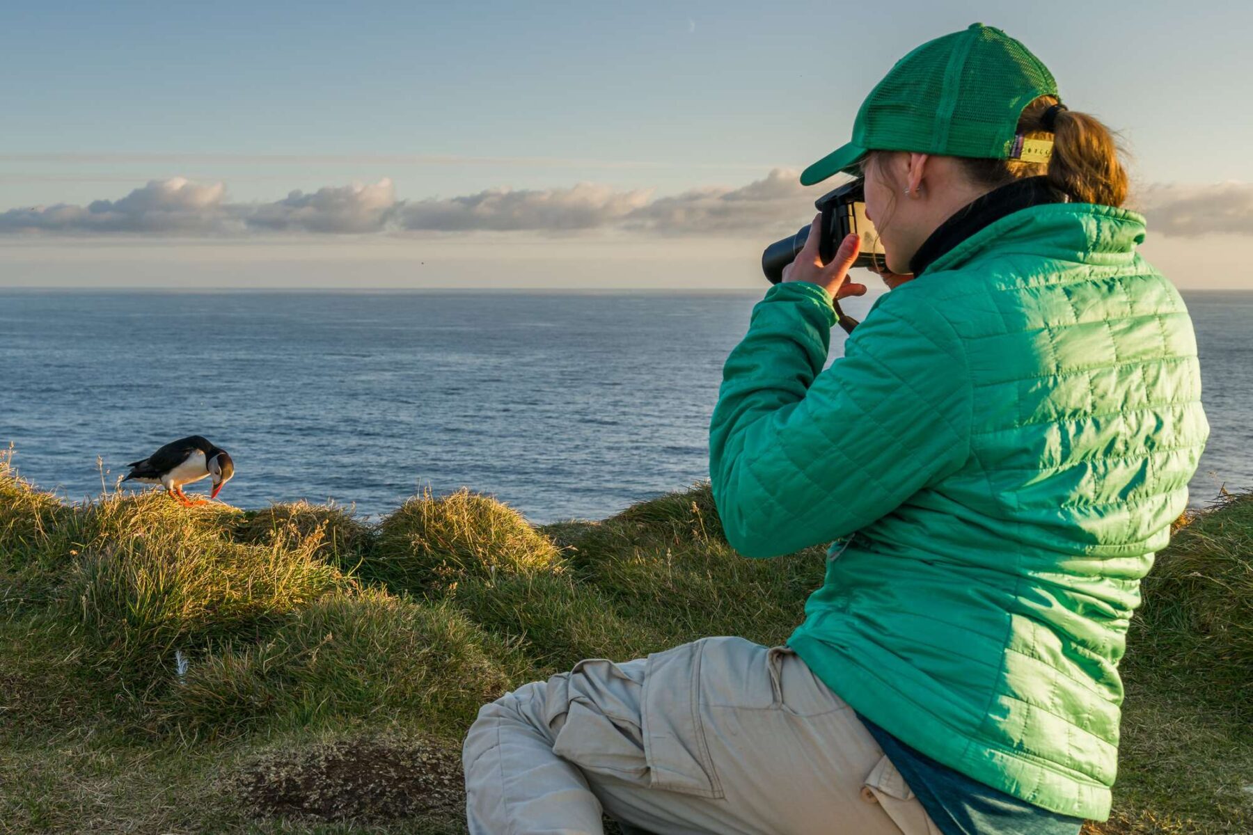 iceland photographing puffins rth