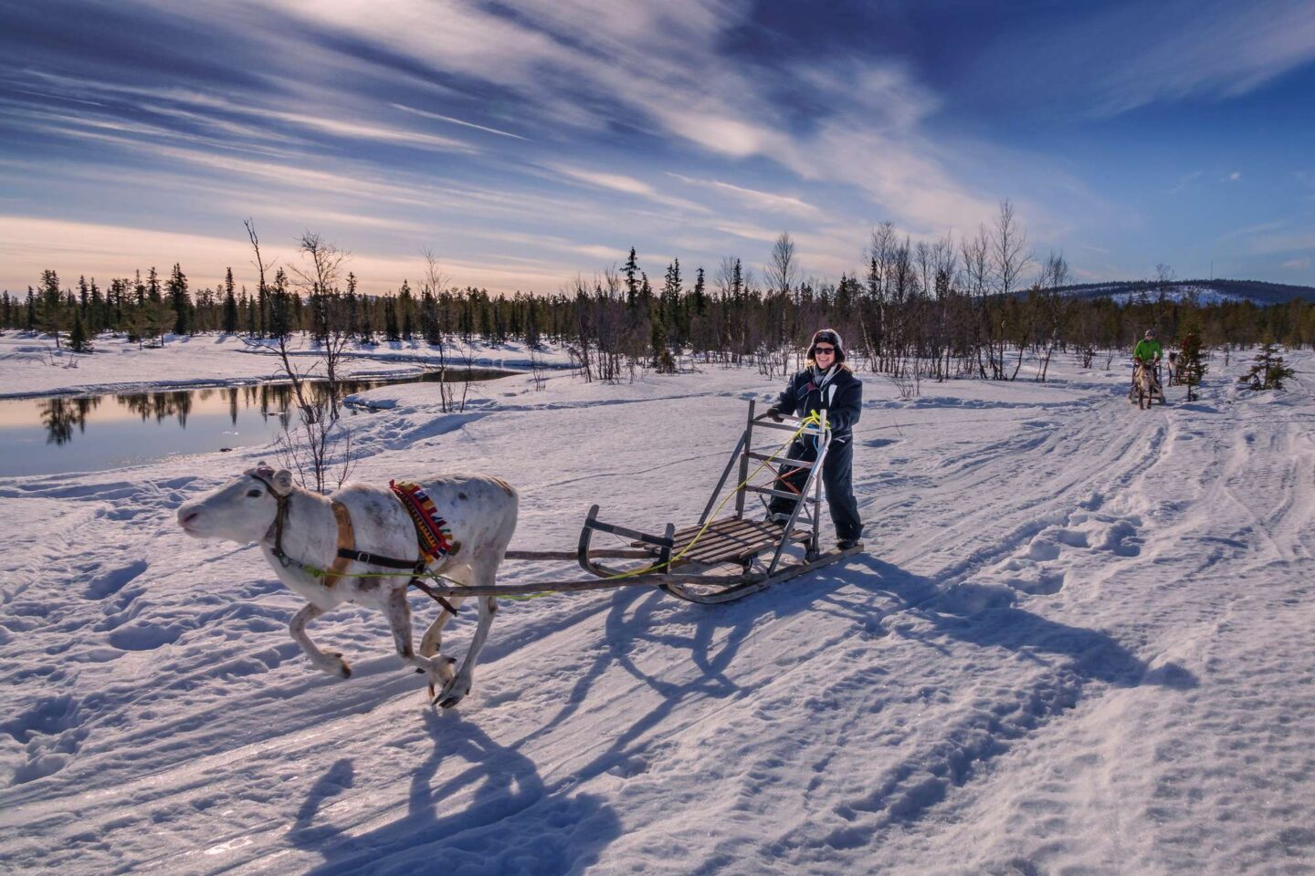 lapland reindeer sledding rth