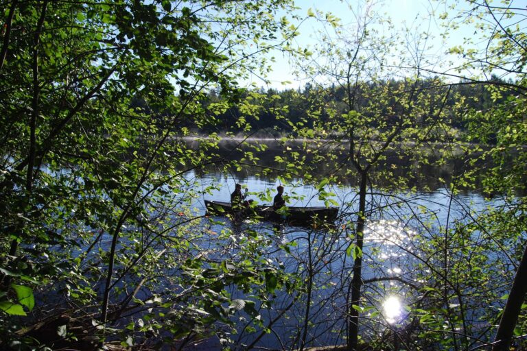 sweden varmland canoeing on river klaralven wtrwld
