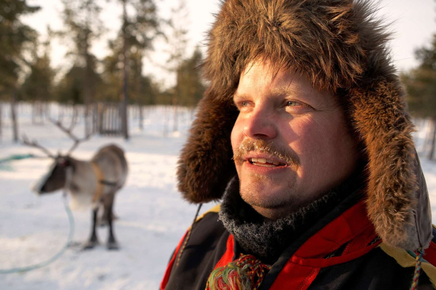 swedish lapland sami reindeer herder rth