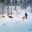 finnish lapland husky sledding at star arctic hotel