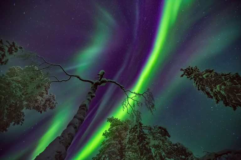 finnish lapland northern lights dance over forest istk