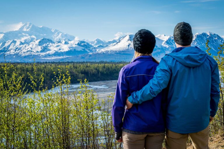Admiring the view over Denali National Park