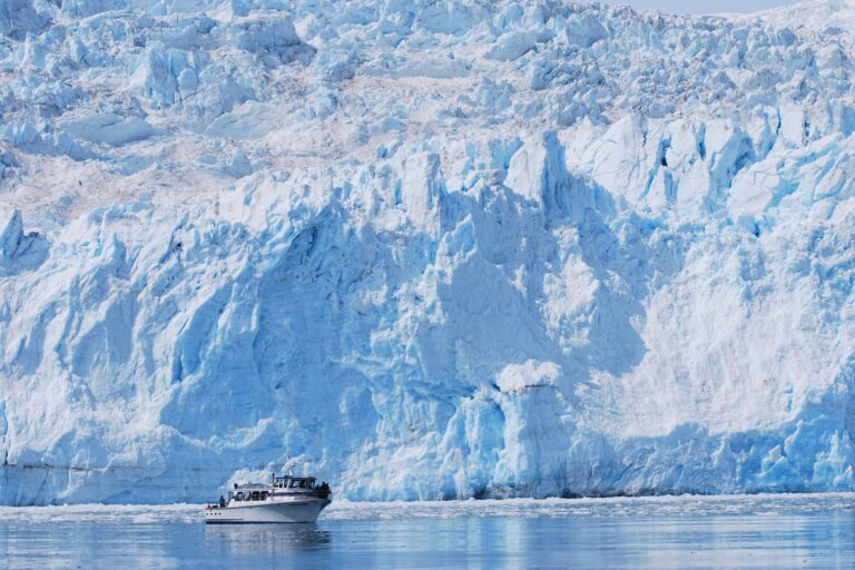 Kenai Fjords cruise