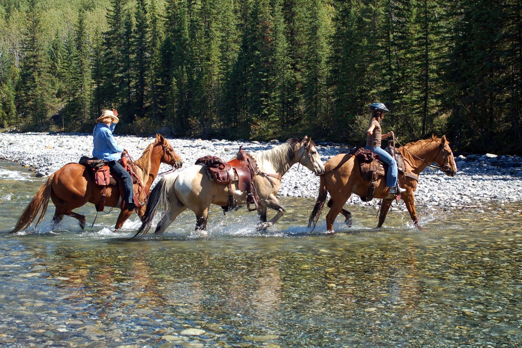 canada horse riding in rocky mountains istk