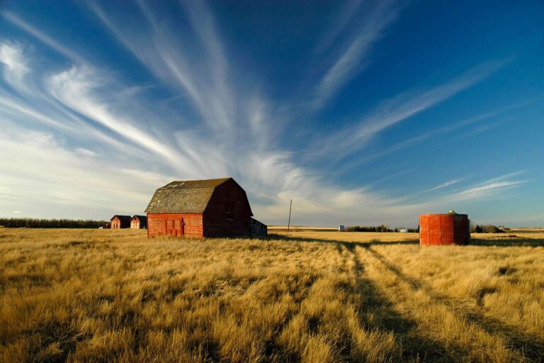 canada saskatchewan wheatfield old barn istk