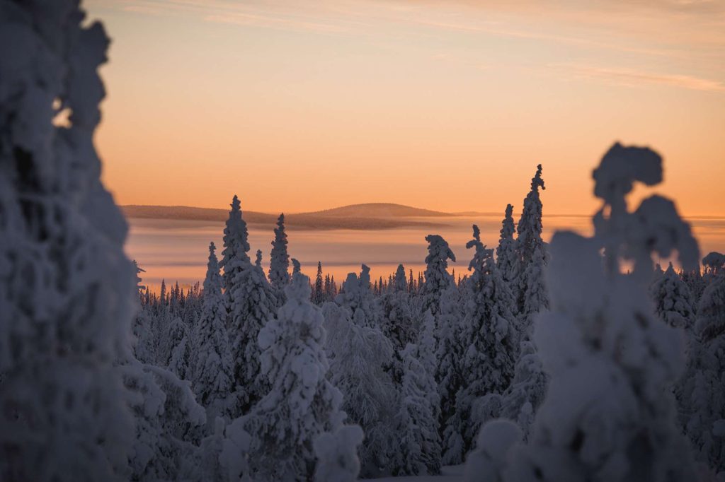 finnish lapland beautiful snow covered in winter light vf
