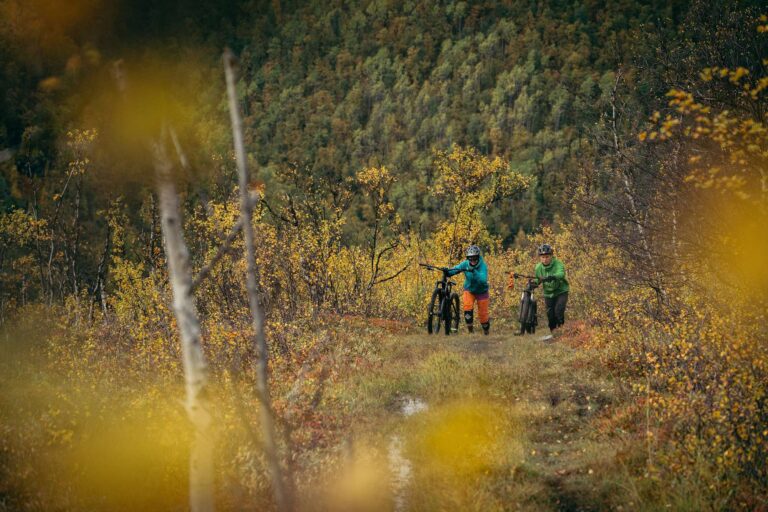 sweden mountain biking on trails autumn arceur