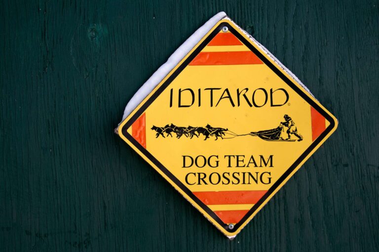 alaska iditarod dog team crossing sign cm